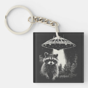 Rolig svart-vit rymdvask-UFO