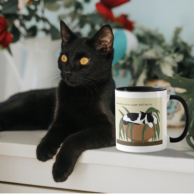 Rolig svart-vit smokingkatt som sover i krukväxt mugg (Skapare uppladdad)