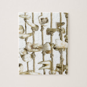 Rolig tand- fotografi utdragen tandtandläkare pussel