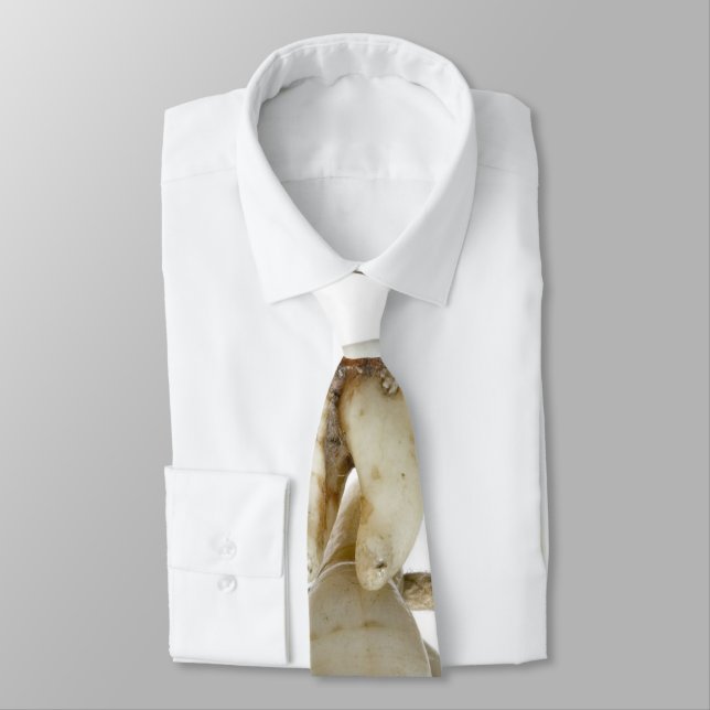 Rolig tand- fotografi utdragen tandtandläkare slips (Bunden)