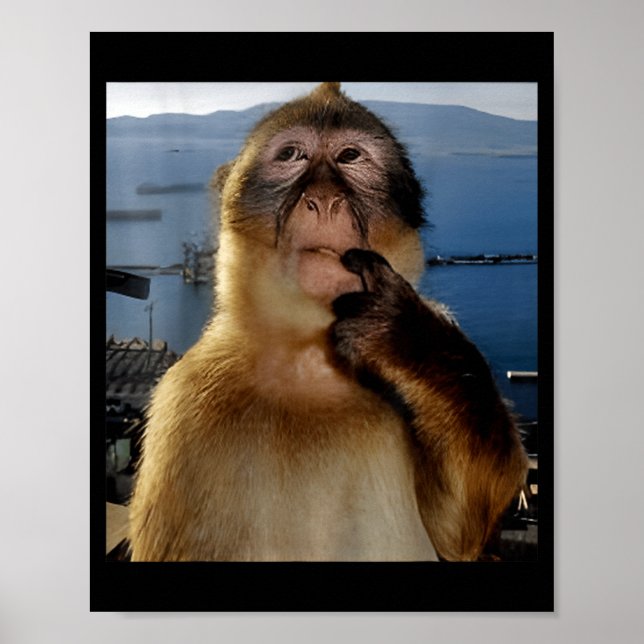 Rolig Tänkande Apa Meme Nyfiken Ape Brainrot Gi Poster (Framsidan)
