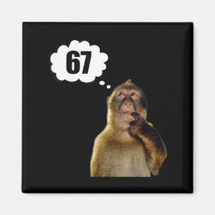 Rolig Tänkande Apa Meme Sex Sju 6 7 Meme Magnet