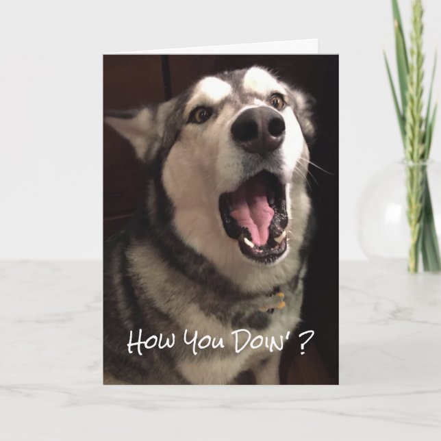 Rolig Tanke Om Dig Alaskan Malamute Hund Foto Kort (Framsida)