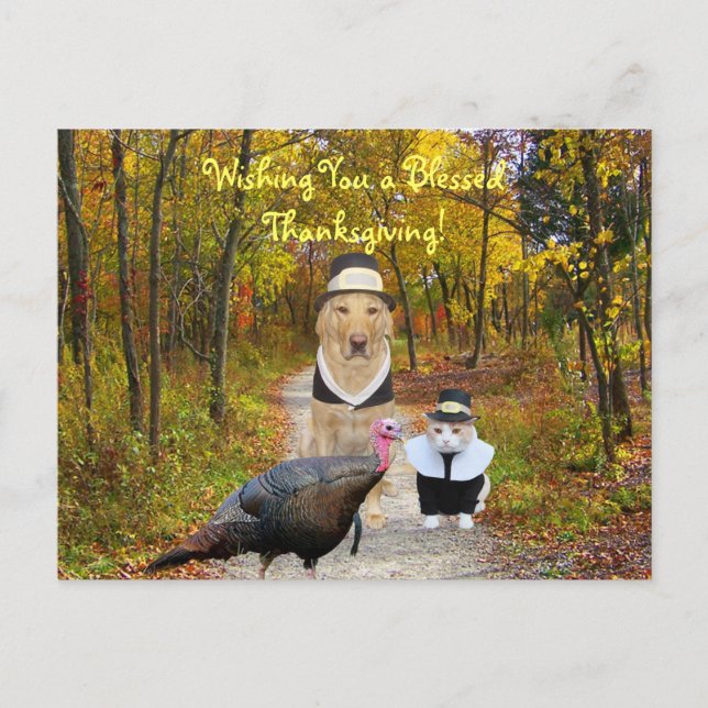 Rolig thanksgivingvykort för anpassade helg vykort (Framsida)