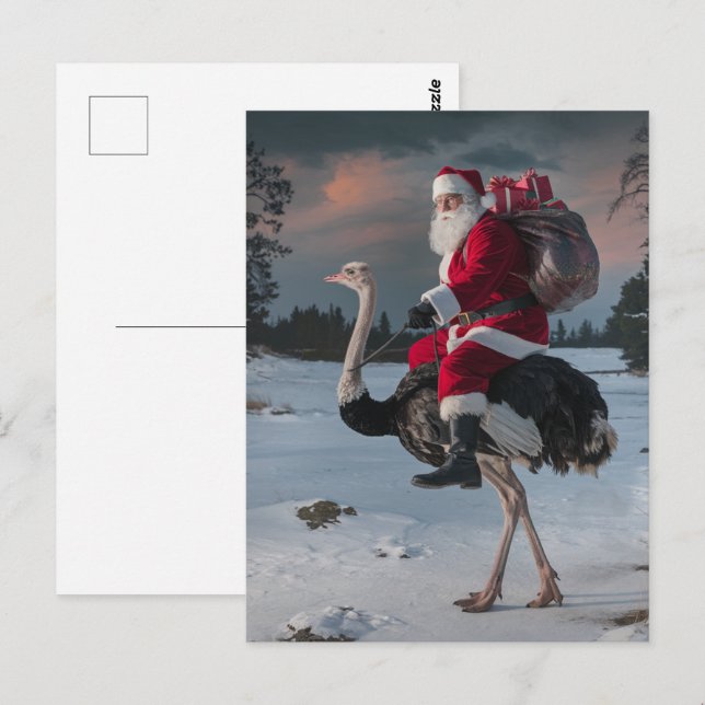 Rolig tomte och struts vykort (Fram/baksida)
