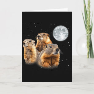 Rolig tre Murmeldjur Moon Groundhog Day  Kort