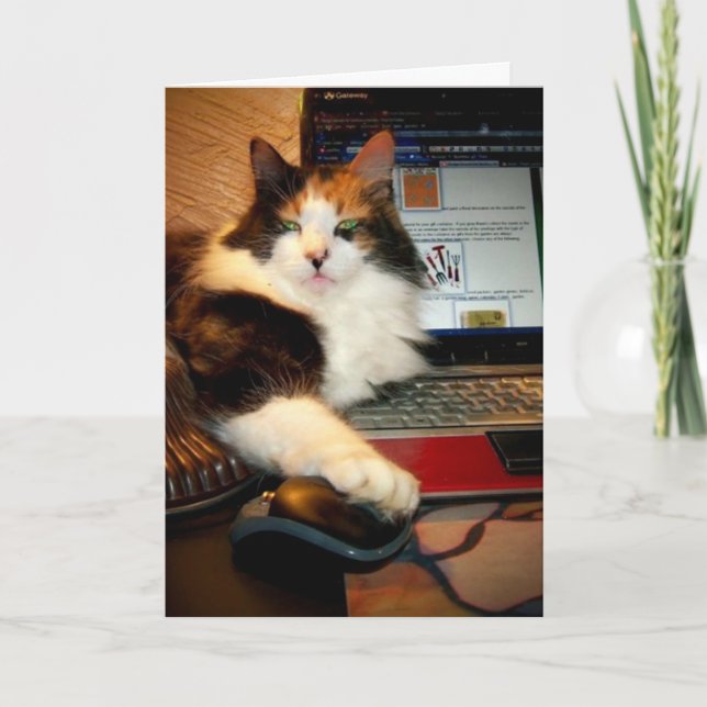 Rolig trefärgad katt hälsningskort kort (Framsida)