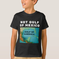 Rolig Trump Amerikas Gulf Inte Mexikanska Golfen 1