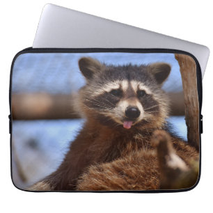 Rolig tvättbjörn som sticker ut tungan laptop fodral