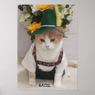 Rolig tysk katt för KATZE/CAT Poster
