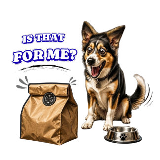 Rolig Upphetsad Hund som Väntar på Mat – Är Det Ti T Shirt