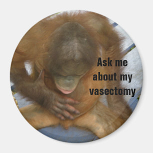 Rolig vasektomi magnet
