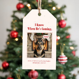 Rolig Vintage Julbild på Hund Julfirande Presentetikett