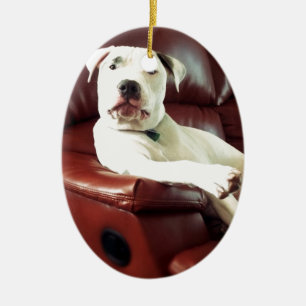 rolig vit pitbullhund på soffan julgransprydnad keramik