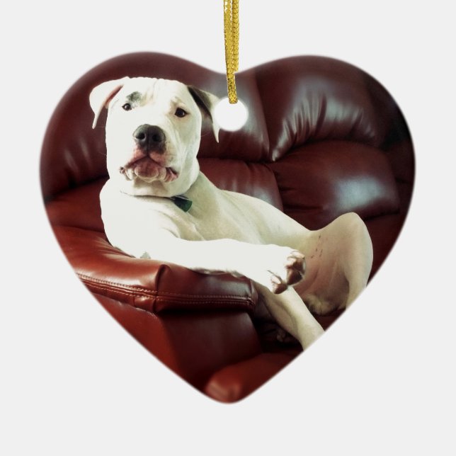rolig vit pitbullhund på soffan julgransprydnad keramik (Framsidan)