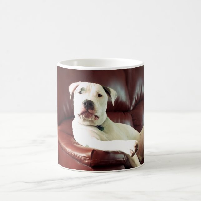 rolig vit pitbullhund på soffan kaffemugg (Center)