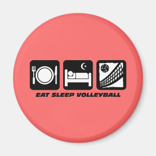 rolig volleyboll magnet