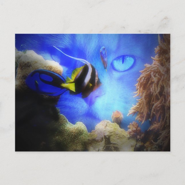 Rolig vykort med katt och fisk (Framsida)