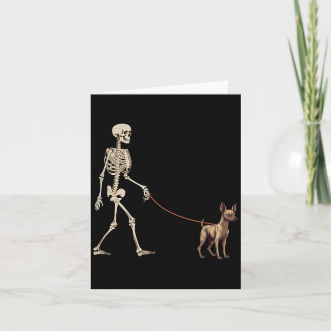 Rolig Xoloitzcuintli Xolo Skelett Hund Går Kort (Framsida)