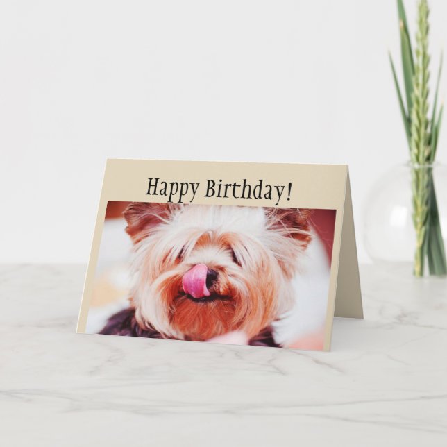 Rolig Yorkie för grattis på födelsedagen som hund Kort (Framsida)