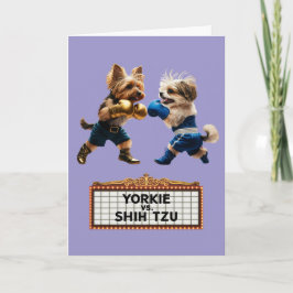 Rolig Yorkie vs. Shih Tzu-kort Kort