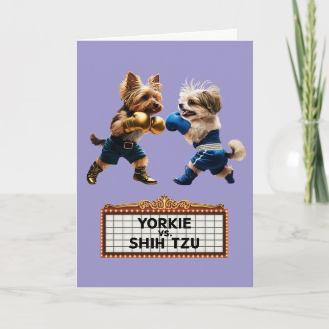 Rolig Yorkie vs. Shih Tzu-kort Kort (Framsida)