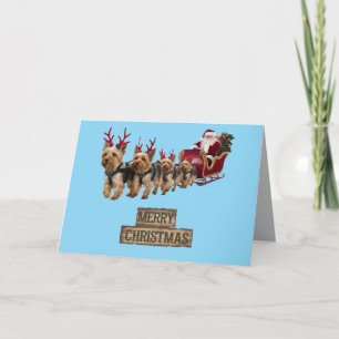 Rolig Yorkshirejulkort jul Meddelande