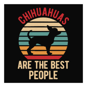 Roliga Chihuahua Hundar Present Fototryck
