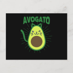 Roliga Cinco De Mayo Katter Mexikansk Meow Katt Vykort
