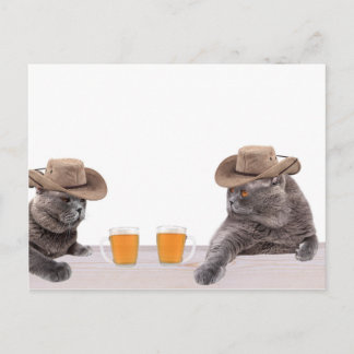 Roliga cowboykatter dricker öl vykort