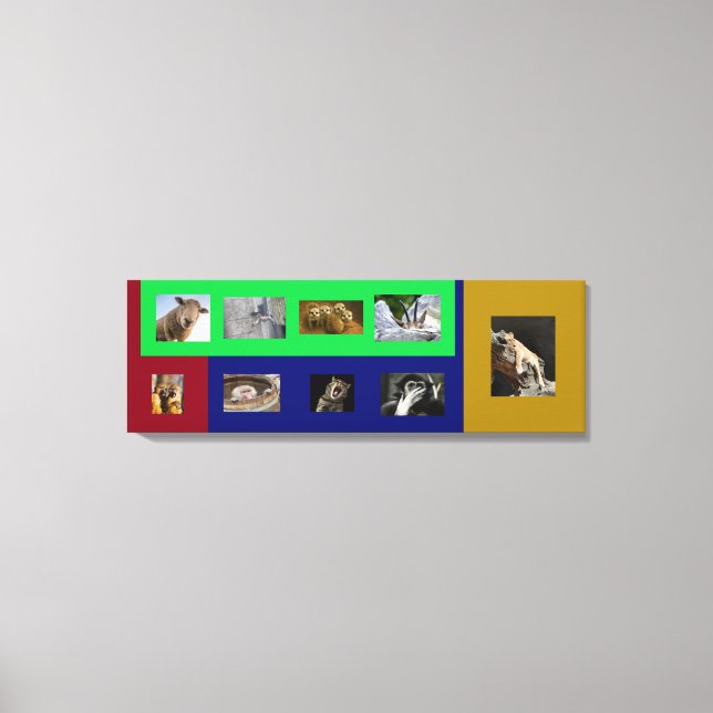 Roliga djur på färgglatt sträckt canvas (Framsida)