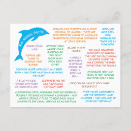 Roliga Fakta Om Djur Söta & Färgglada Vykort