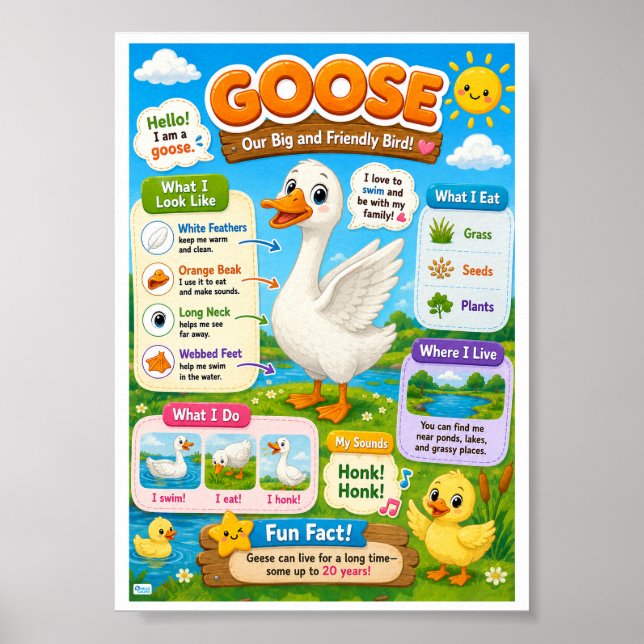 Roliga fakta om gås för barn poster (Framsidan)