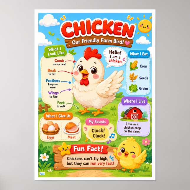 Roliga Fakta Om Kyckling För Barn Poster (Framsidan)