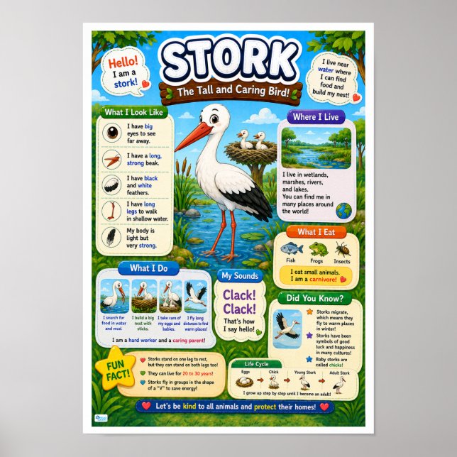 Roliga fakta om stork för barn poster (Framsidan)