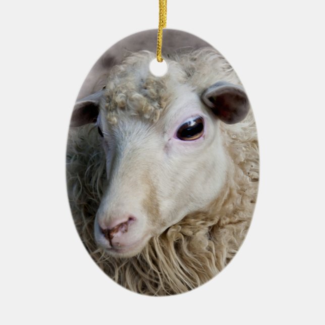 Roliga får julgransprydnad keramik (Framsidan)