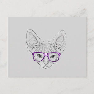 Roliga Geeky Nerdy Sphynx med tejpade Vykort