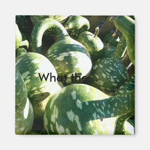 Roliga Gourds/vad… citationsteckenmagneten Magnet