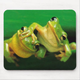 Roliga grodor musmatta