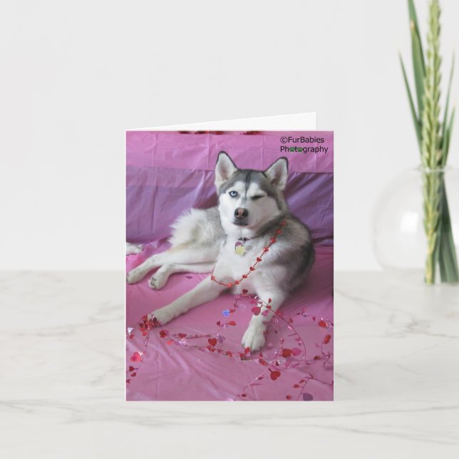 Roliga gulliga siberian huskyvalentin dag kort (Framsida)