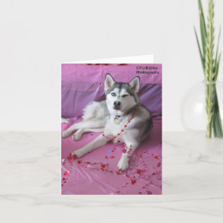 Roliga gulliga siberian huskyvalentin dag kort