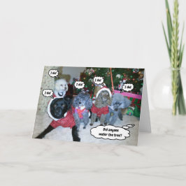 Roliga hundar hjälper till att vattna julgranen kort