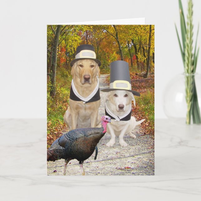 Roliga hundar/labbthanksgiving helgkort (Framsida)