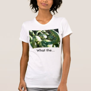 Roliga kalebasser med den roliga tee shirt