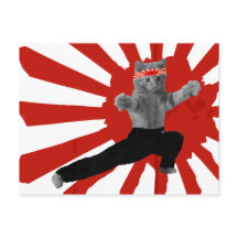 Roliga Karate Kattunge presenter