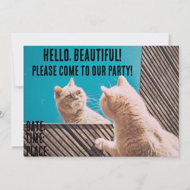 ROLIGA KATT UPPKÖPDA PARTY INVITATIONER INBJUDNINGAR (Framsida)