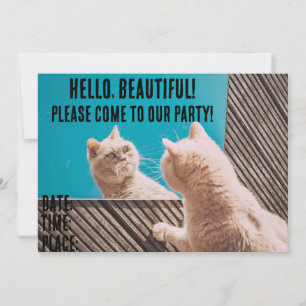 ROLIGA KATT UPPKÖPDA PARTY INVITATIONER INBJUDNINGAR