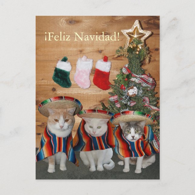 Roliga katter/kattungar Feliz Navidad Helg Vykort (Framsida)