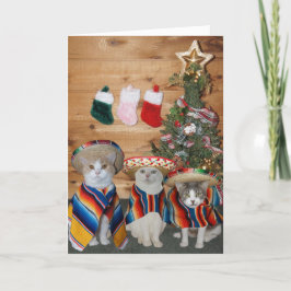 Roliga katter/kattungar Feliz Navidad Helgkort