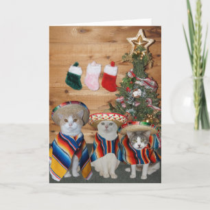 Roliga katter/kattungar Feliz Navidad Helgkort